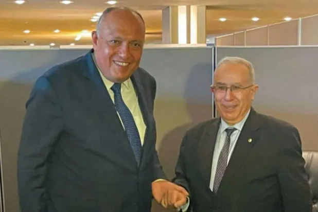 Mısır ile Cezayir, Arap ve Afrika meselelerinde koordinasyon üzerinde anlaştı 