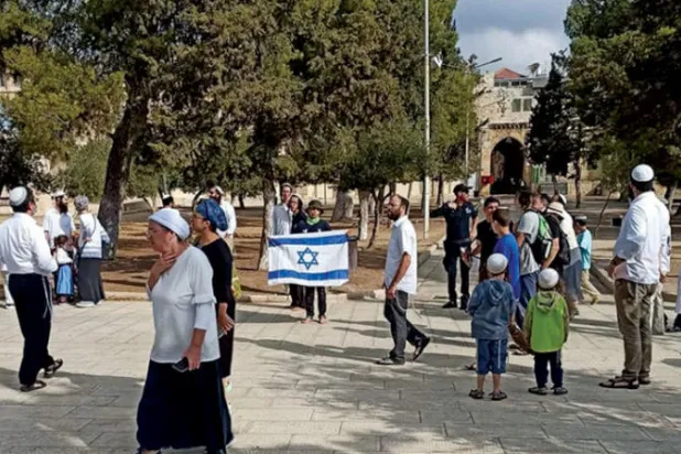 إسرائيل تسمح برفع علمها في الأقصى وتبطش بمن يرفع علم فلسطين