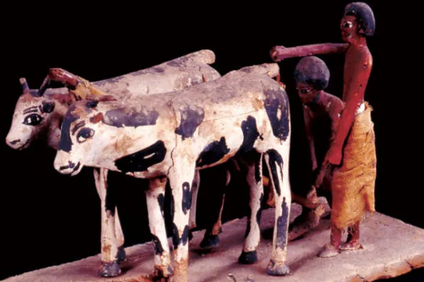 الزراعة في عصر الفراعنة... إطلالة مصرية على براعة الأجداد