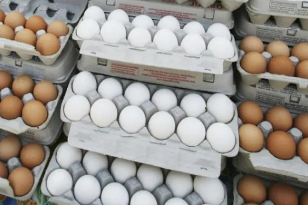 دراسة تحذر: الإفراط في تناول البيض يزيد خطر الإصابة بسرطان البروستاتا