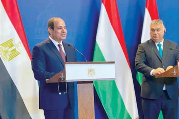 Egypt Seeks European Help to Pressure Ethiopia on GERD