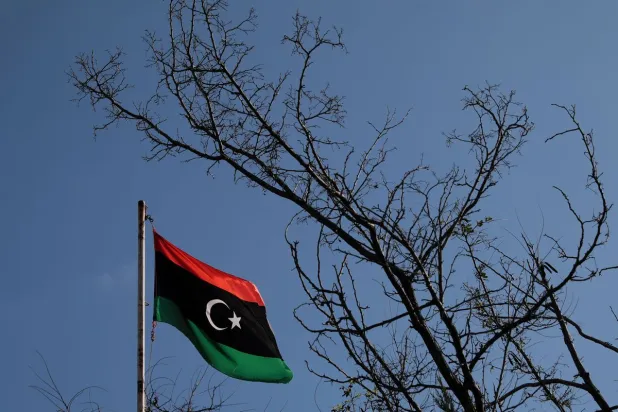 UN Mission Announces Deployment of 1st Group of Monitors in Libya