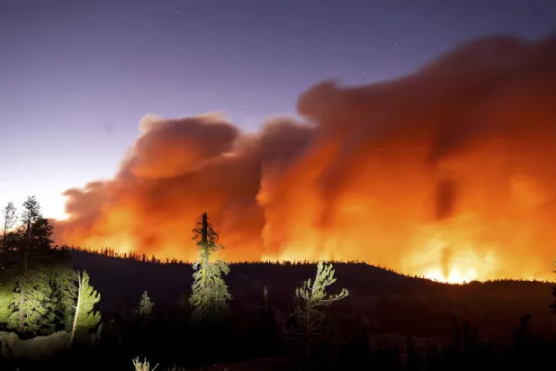 التغير المناخي يحول الغابات إلى مصادر لانبعاث الكربون