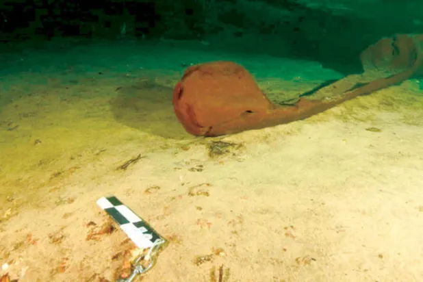 العثور على زورق نادر لشعب المايا في جزيرة يوكاتان المكسيكية