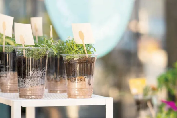 سعوديون يُحولون مخلفات القهوة إلى نباتات