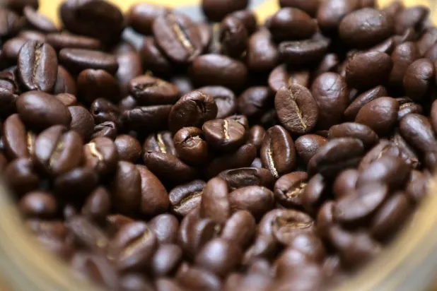 Saudis Turn Coffee Grounds into Plants
