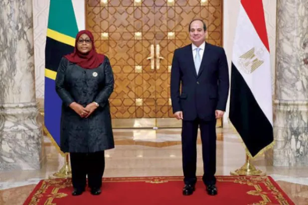 US Backs Egypt’s Call on Resuming GERD Negotiations