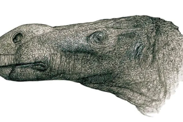 طبيب متقاعد يكتشف ديناصوراً بأنف كبير