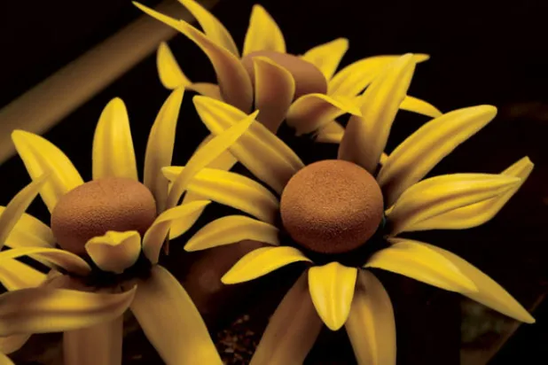 قطعة من الحلوى مصممة على شكل لوحة فان غوخ بعنوان «Vase with twelve sunflowers»