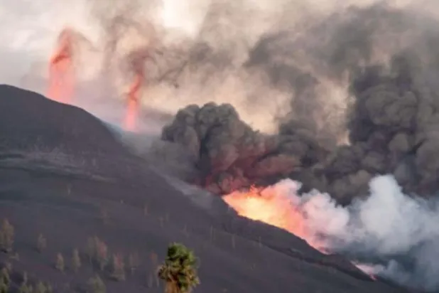 دراسة: أكبر انقراض جماعي في التاريخ كان مدفوعاً بثوران بركاني