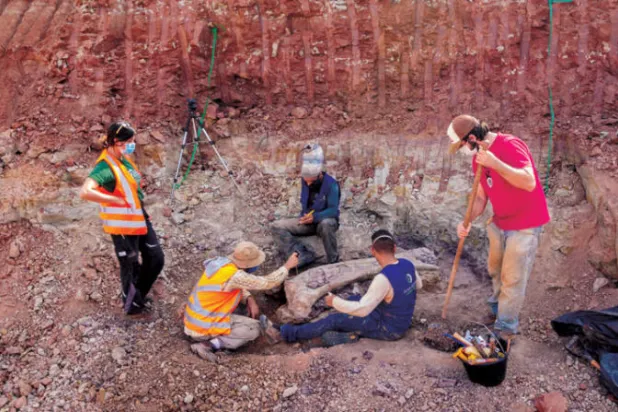 البرازيل: اكتشاف نوع  من الديناصورات بلا أسنان