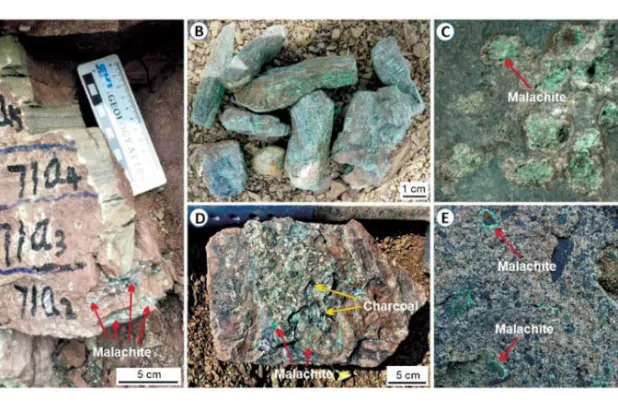 «الشتاء البركاني» أحد أسباب الانقراض الجماعي قبل 250 مليون سنة