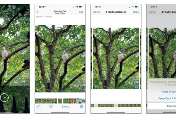 خطوات سريعة للحصول على اللقطة الصحيحة بكاميرا الهاتف الجوال