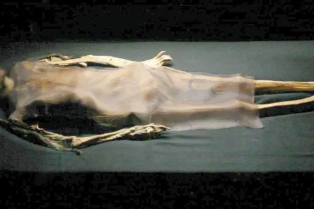 علماء الآثار يعثرون في بيرو على مومياء عمرها 800 عام