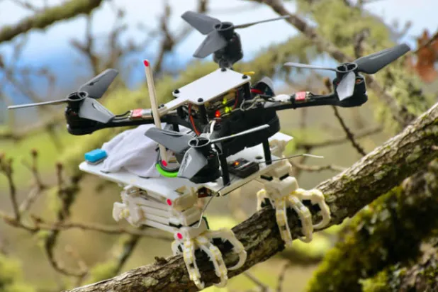 روبوت طائر يمكنه الإمساك بالأشياء