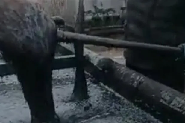 Türkiye-Suriye sınırında petrol keşfi