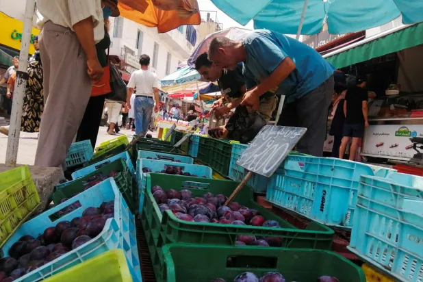 Tunisia Keen to Fulfill Foreign Debt Obligations