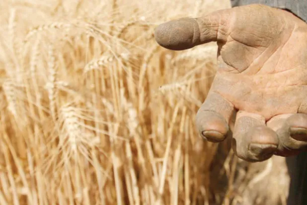 مخاوف الجوع تتفاقم عربياً... ودعوة لتحرك عاجل