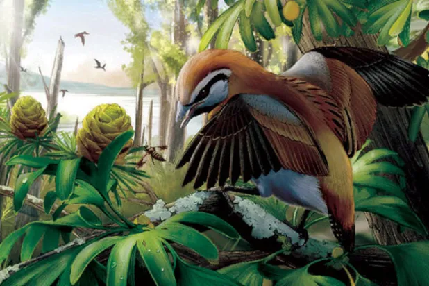 أقدم طائر امتلك القدرة على «إخراج لسانه»