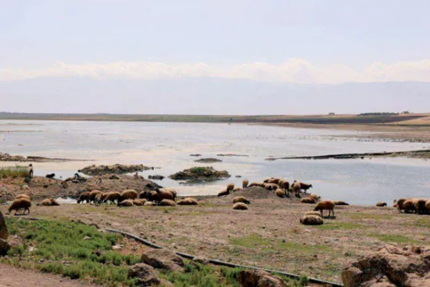 إدلب وريف حماة: مزارعون يهجرون الزراعة