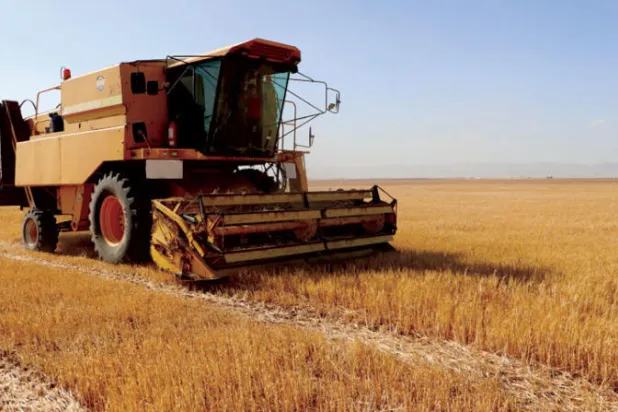 الكثافة السكانية والنزوح وندرة الأمطار... تفاقم عطش دمشق