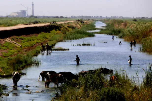 تراجع معدلات الأمطار شرق الفرات يهدد الزراعة