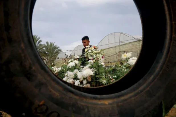 استبعاد إجراء الانتخابات المحلية في قطاع غزة