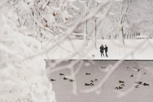 عاصفة ثلجية تشل العاصمة الأميركية ومنطقتها