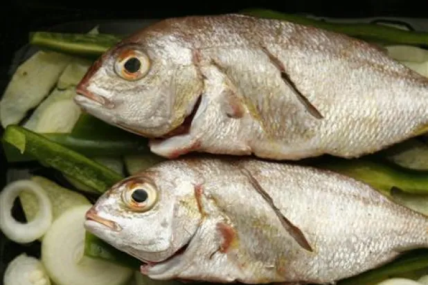 ما هي أفضل حمية غذائية لعام 2022؟