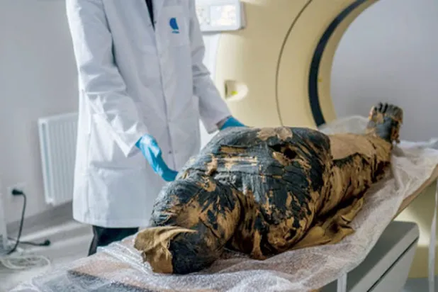 تشكيك في اكتشاف «المومياء الحامل»