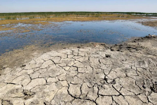 من العراق وسوريا إلى تركيا وإيران... هل يخفف شتاء 2022 من وطأة الجفاف؟