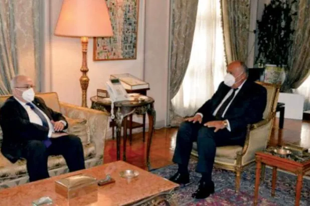 Mısır ve Cezayir dışişleri bakanları bir araya geldiler