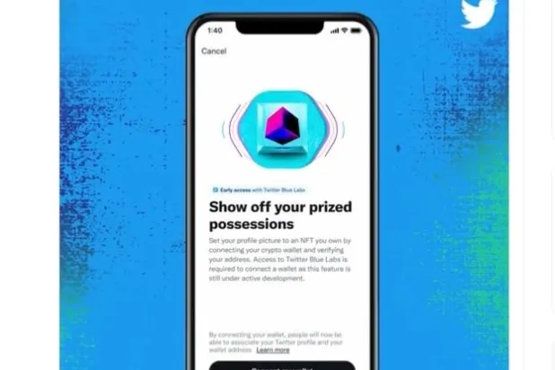 «تويتر» يسمح باستخدام «إن إف تي» صورة للملف الشخصي
