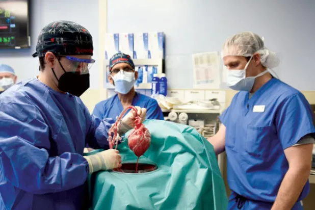 أول زراعة قلب من خنزير لإنسان... كيف تمت العملية الجراحية؟