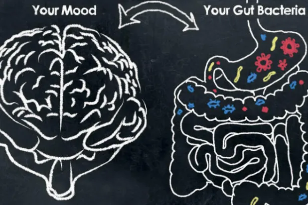 الدماغ «حبيس» معانقة معقدة مع كل أعضاء الجسم