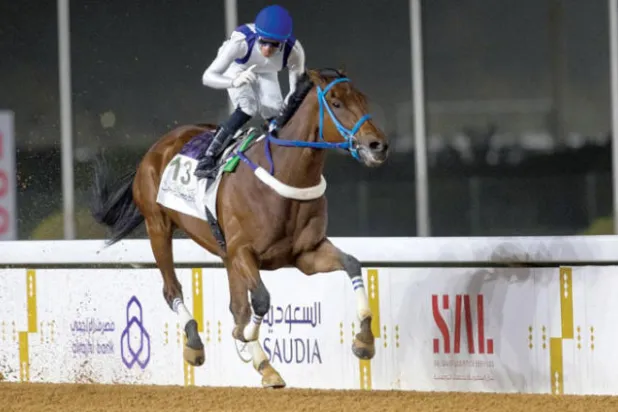 الجواد ميراكلس بطل كأس خادم الحرمين سيشارك في كأس السعودية العالمية (الشرق الأوسط)