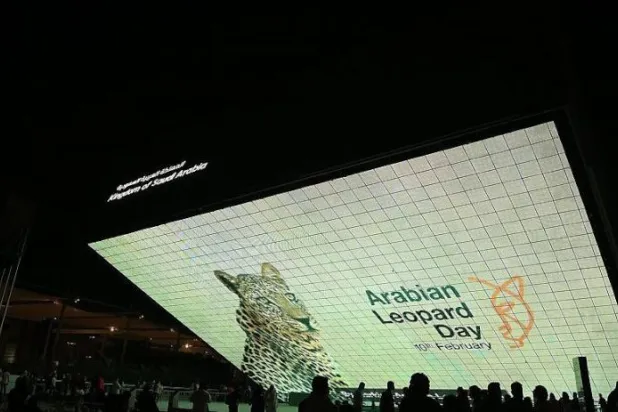 جناح السعودية في «إكسبو 2020 دبي» يحتفي بـ«يوم النمر العربي»