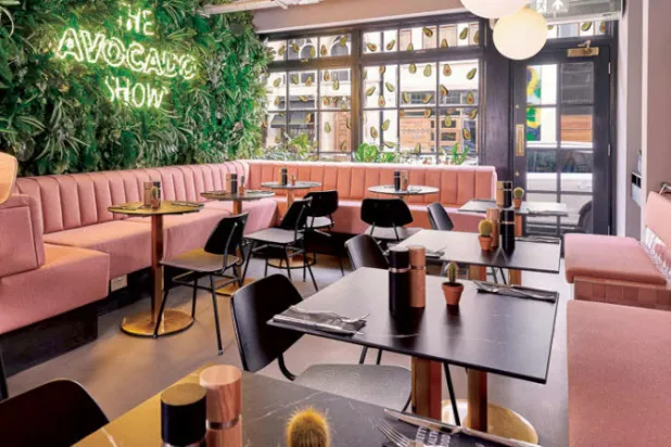 «ذا أفوكادو شو» استعراض للأفوكادو والألوان الزاهية