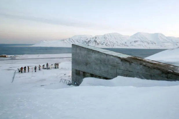 عينات جديدة لمخزن بذور عالمي في القطب الشمالي
