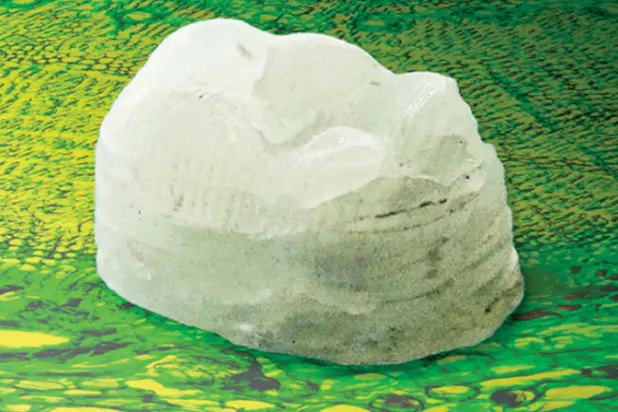 مُركّب نباتي أقوى من العظام يمكن استخدامه في غرس الأسنان