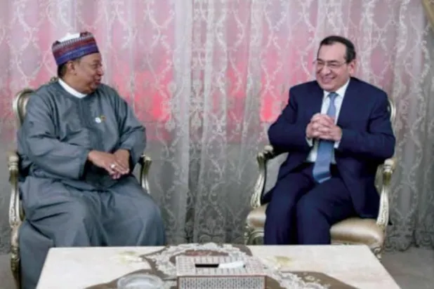 100-Mln-Barrel Oil Reserve Discovered in Egypt’s Gulf of Suez