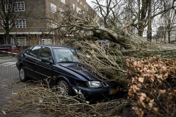 العاصفة «يونيس» تقتلع الأشجار وتقتل 3 في هولندا (فيديو)