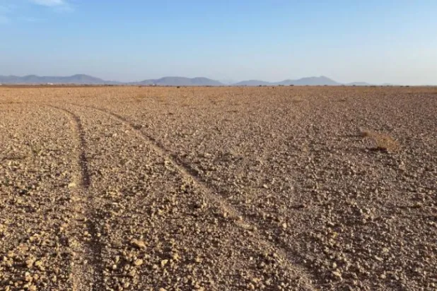 Fas’ta kuraklık nedeniyle hükümet desteklerinin artması bekleniyor