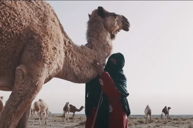 وفاة أشهر راعية للإبل في السعودية وصاحبة القصائد البدوية «شومة العنزي»