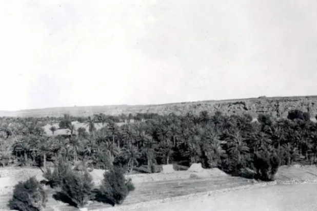 Tarihçi Raşid bin Asakir Suudi Arabistan Kuruluş Günü hakkında Şarku'l Avsat'a konuştu: Birinci Suudi Devleti’nin kuruluşunun dini boyutu abartılıyor