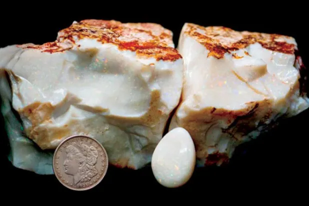 نيازك من المريخ والفضاء الخارجي في مزاد