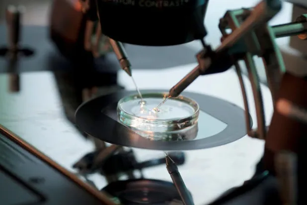 علاجات العقم قد تزيد مخاطر الإصابة بمضاعفات الحمل وأمراض القلب