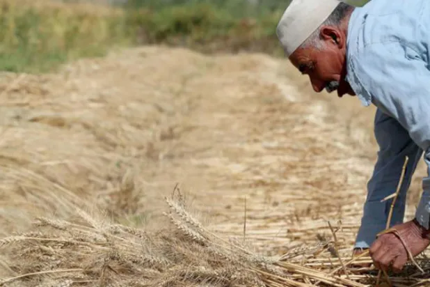 أزمة أوكرانيا... تداعيات اقتصادية دولية