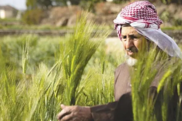 سعودی: عرضه مواد غذایی مختل نشده و مطلوب است