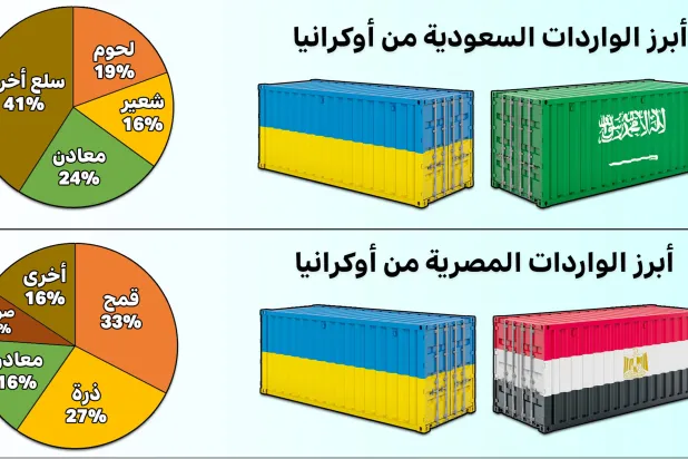 ما مدى تأثر الدول العربية من الحرب على أوكرانيا؟ (تحليل)